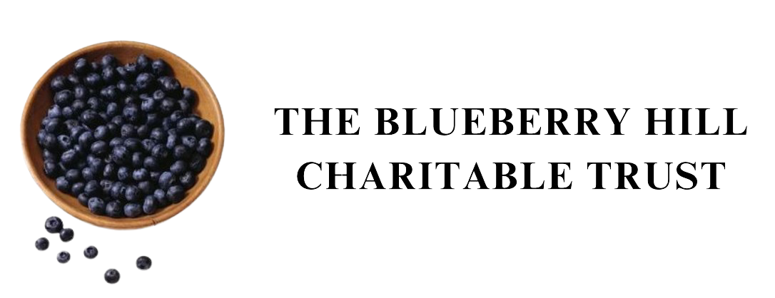 Blueberry Logo